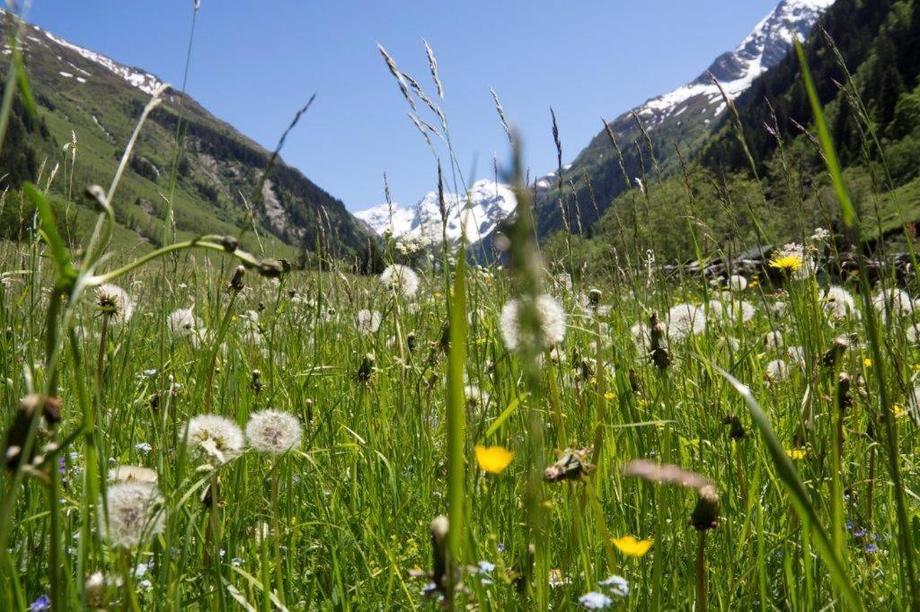 Apartamento Neuhaushof Hollersbach im Pinzgau Exterior foto