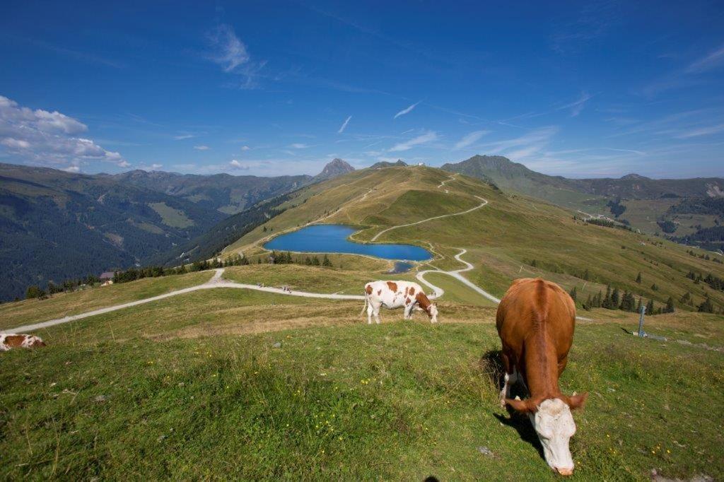 Apartamento Neuhaushof Hollersbach im Pinzgau Exterior foto